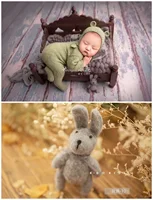 Newborn Photography Props Accessories Backdrop Animal Baby Toys Wool Mohair Infant Dolls Lion Bear Bunny Panda Studio Props 5