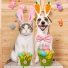 1-15PCS Easter Pet Hair Bands Easter Bunny Ears Headpiece Cute Carrot Hair Band Pet Easter Party Costume Accessories 3