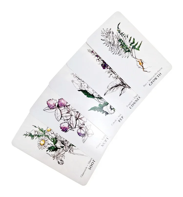 Fast Ship HOT Hedge Witch Botanical Oracle Cards 40 Pcs Wisdom From The Boundary Lands Tarot Deck Games With PDF Guidebook 3
