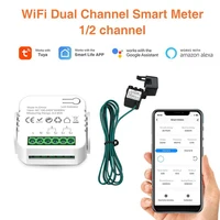 100A WIFI Intelligent Energy Meter 1/2 Channel Bidirectional Monitoring Meter 110-240 V 50/60Hz Solar PV Two Way Power Monitor 1