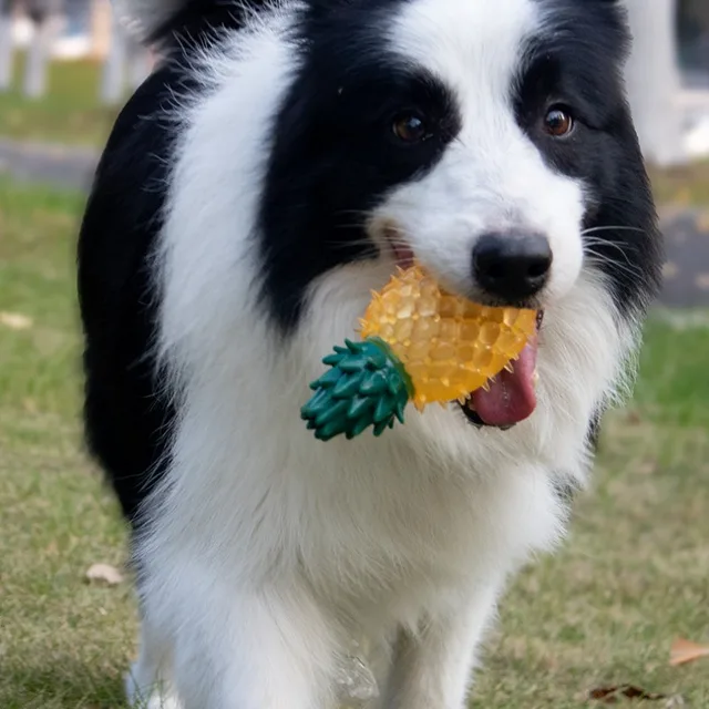 Pet Squeaky Chew Toy Dog Teeth Cleaning Toy Watermelon Pineapple Lemon Fruit Shape Puppy Bite Resistant Toy Pet Supplies 2