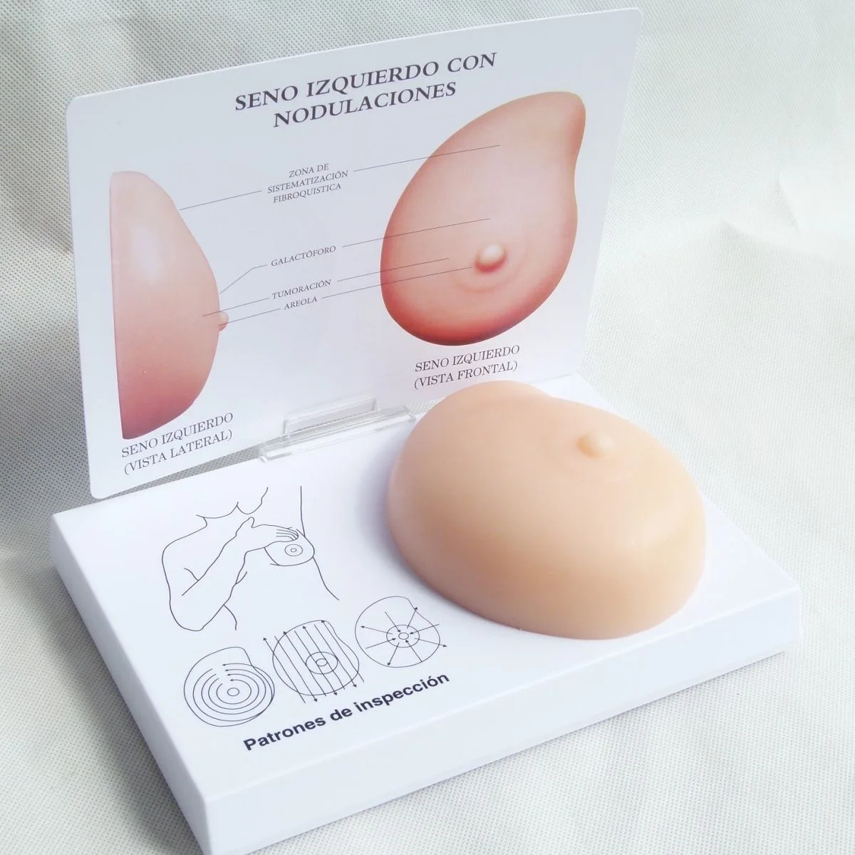 Breast Self-Exam Training Model 5