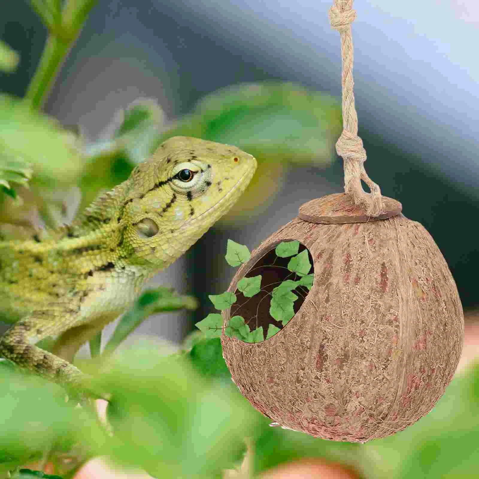 Il Nido per Uccelli con Guscio di Noce di Cocco Naturale Puro