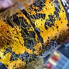 Nail Foils Nail Art 10 Rolls Mesh Net Line Style Nail Foils Nail Art Supplies 3D Line Nail Foil Glitter Starry Sky Foil Decals 6