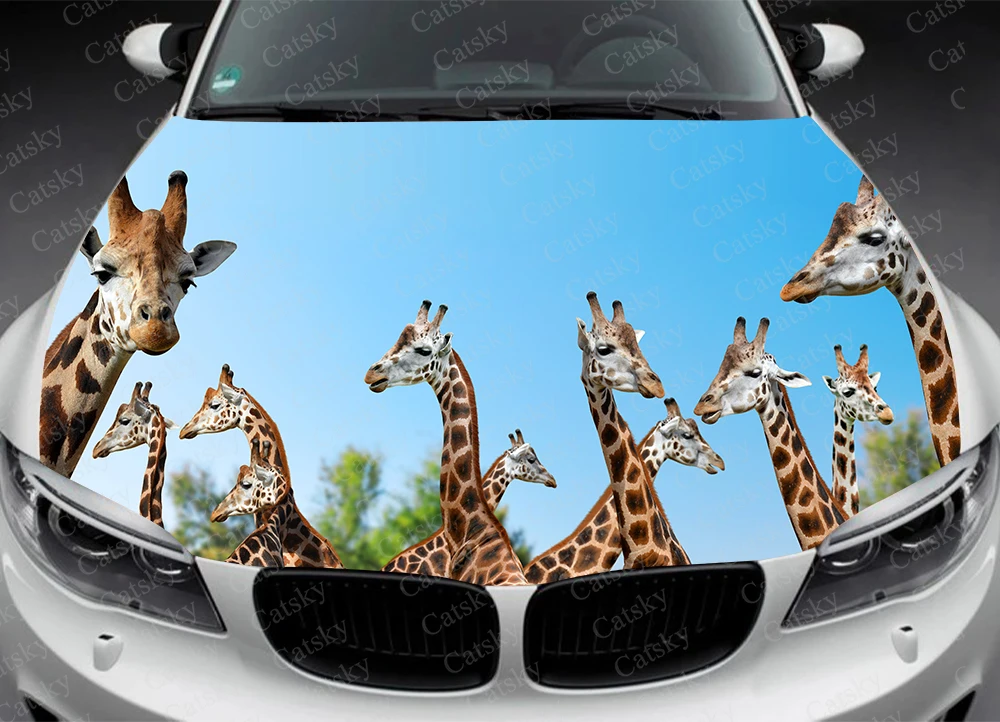 TIER Giraffe Auto Aufkleber Auto Haube Wrap Aufkleber Vinyl Aufkleber Full  Color Graphic Fit Jedes Auto Auto Haube Wrap Aufkleber vinyl Aufkleber