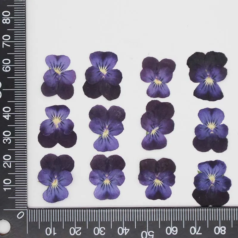 Description Picture 4 of item3CM/12&24PCS Real Natural Dried Pressed Pansy Flowers Petal,Dry Press Sweet violet Flower DIY  For Epoxy Resin,Invitation Card