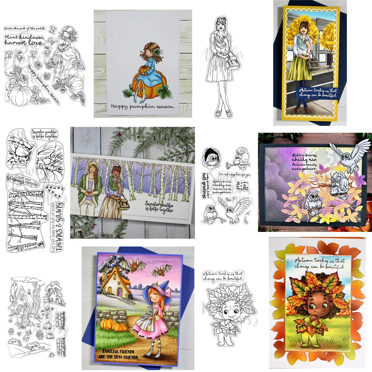 dsc-products