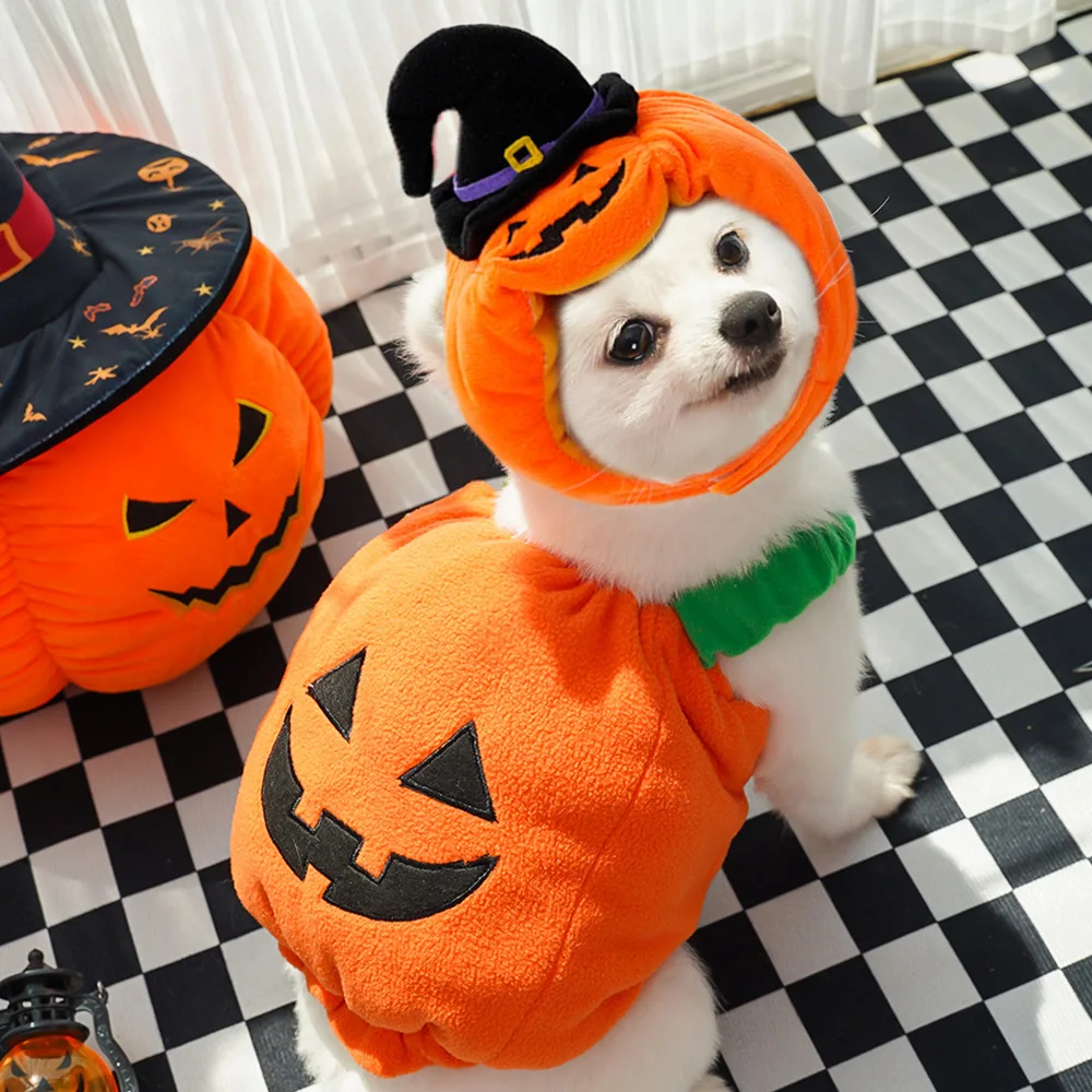 Pumpkin Pet Halloween Costume 2