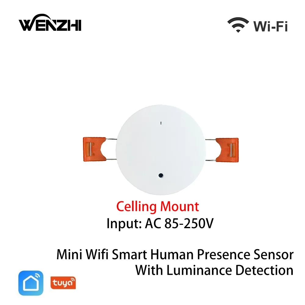 Celling Mount Wifi