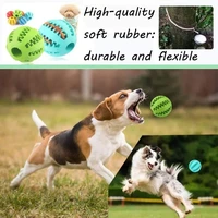 Dog Ball Toys for Small Dogs Interactive Elasticity Puppy Chew Toy Tooth Cleaning Rubber Food Ball Toy Pet Stuff Accessories 2