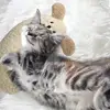 Little Pillow for Cats  U-Shaped Neck Protector Deep Sleep Puppy Pillow Cat Pillow Kitten Headrest Dog Sleeping Pillow Toy 4