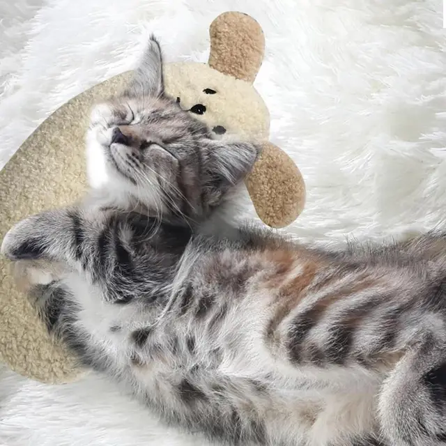 Little Pillow for Cats  U-Shaped Neck Protector Deep Sleep Puppy Pillow Cat Pillow Kitten Headrest Dog Sleeping Pillow Toy 4