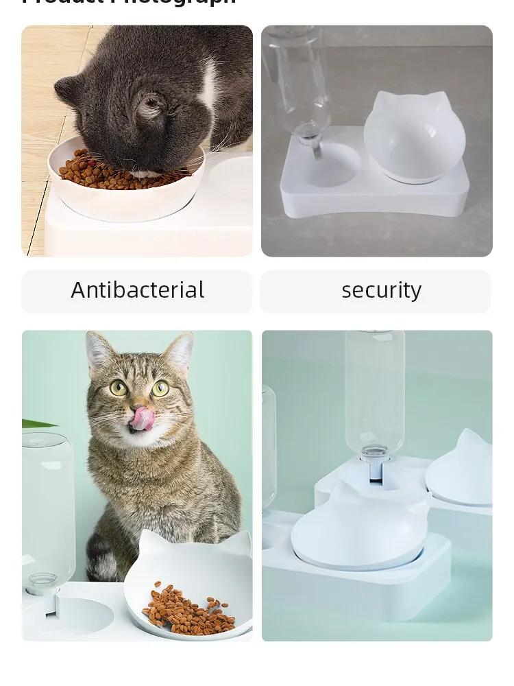 cat water fountain and food bowl