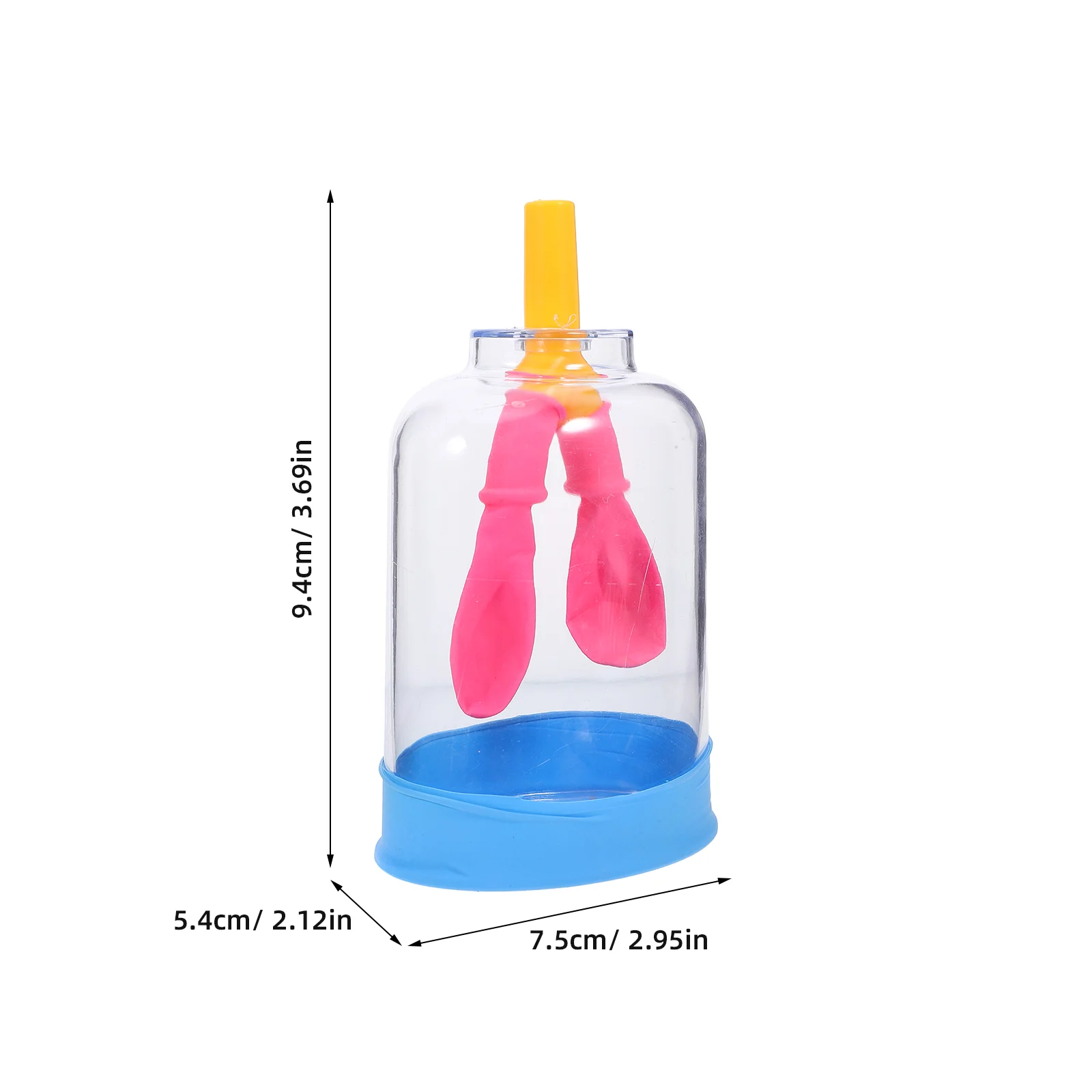 Portable Human Lung Model Anatomy Teaching Aid Respiratory System Display Kit For Scientific Research Instrument Medical Science
