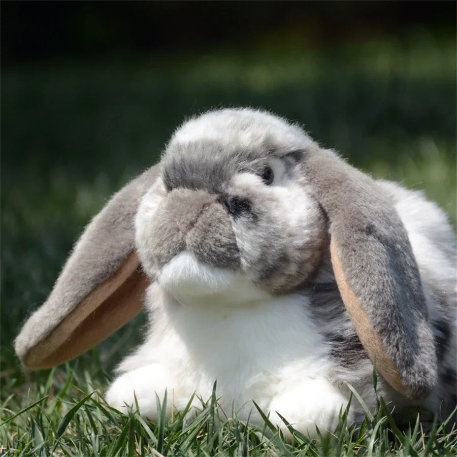 Lop Ear Rabbit High Fidelity Anime Cute White Brown Bunny Plush Toys Lifelike Animals Simulation Stuffed Doll Toy Gifts For Kids 6