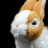 Dutch Bunny High Fidelity Anime Cute Rabbit Plushie Dutch Rabbits Plush Toys Lifelike Animals Simulation Stuffed Doll Kawai Toy 4