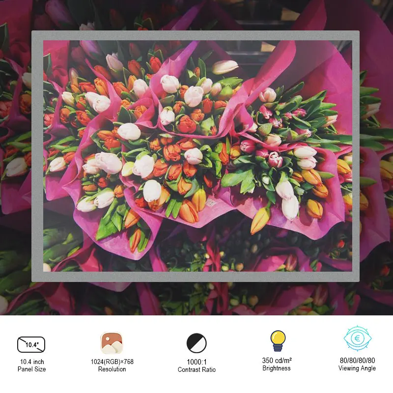 

10.4 Inch 30 pins LVDS Display Screen GI104YQ2-Z35 Resolution 1024*768 Contrast 1000:1 brightness 350