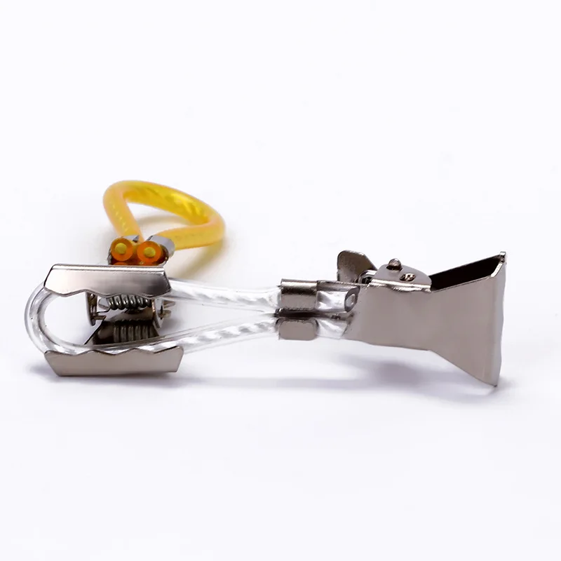 Colorful Clothes Pegs Stainless Steel Clothespins Laundry Tea Towel Hanging Clips Loops Towel Clips Kitchen Bathroom 5pcs