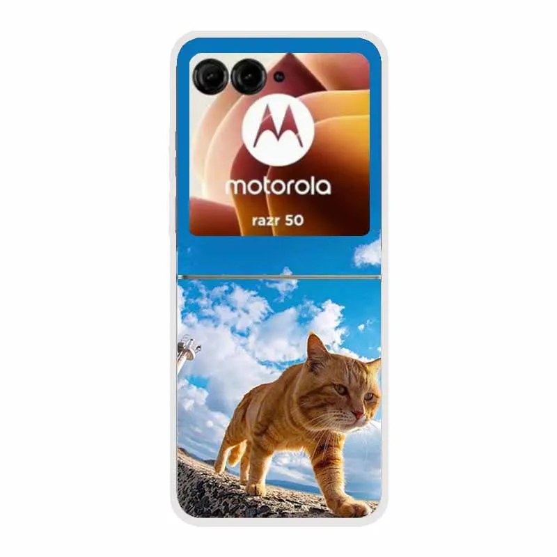 Cartoon Design Transparent Hard Plastic Back Cover Case
