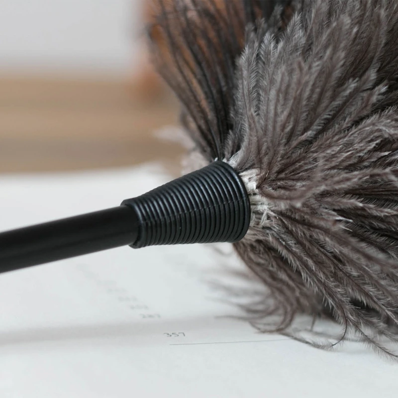 Рисунок 5 - Щетка для чистки страусиных перьев