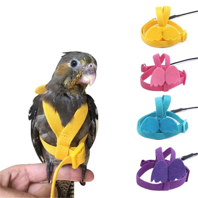 Adjustable Parrot Bird Harness Leash Set Anti-bite Training Harness Parrots Outdoor Flying Rope Cockatiel Small Birds Supplies Adjustable Parrot Bird Harness Leash Set Anti-bite Training Harness Parrots Outdoor Flying Rope Cockatiel Small Birds Supplies