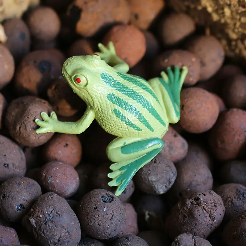12pcs Mini Frogs,1 Grass and 1 stone Toy Set Small Realistic Frog Toy Decorations Frogs Rain Forest Lifelike Art Lawn decoration 3