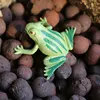 12pcs Mini Frogs,1 Grass and 1 stone Toy Set Small Realistic Frog Toy Decorations Frogs Rain Forest Lifelike Art Lawn decoration 3