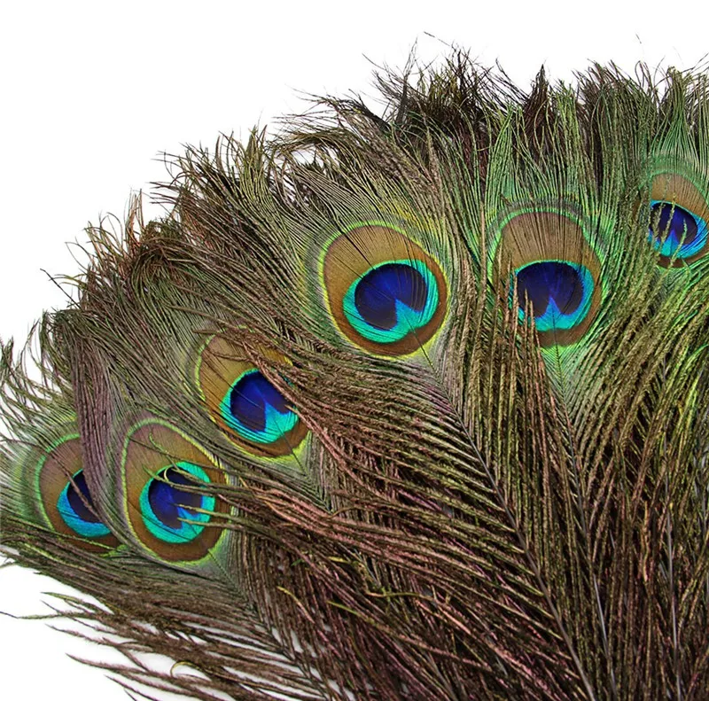 20 Pcs/Lot Top Quality Peacock Feathers Feather Decor Handicraft