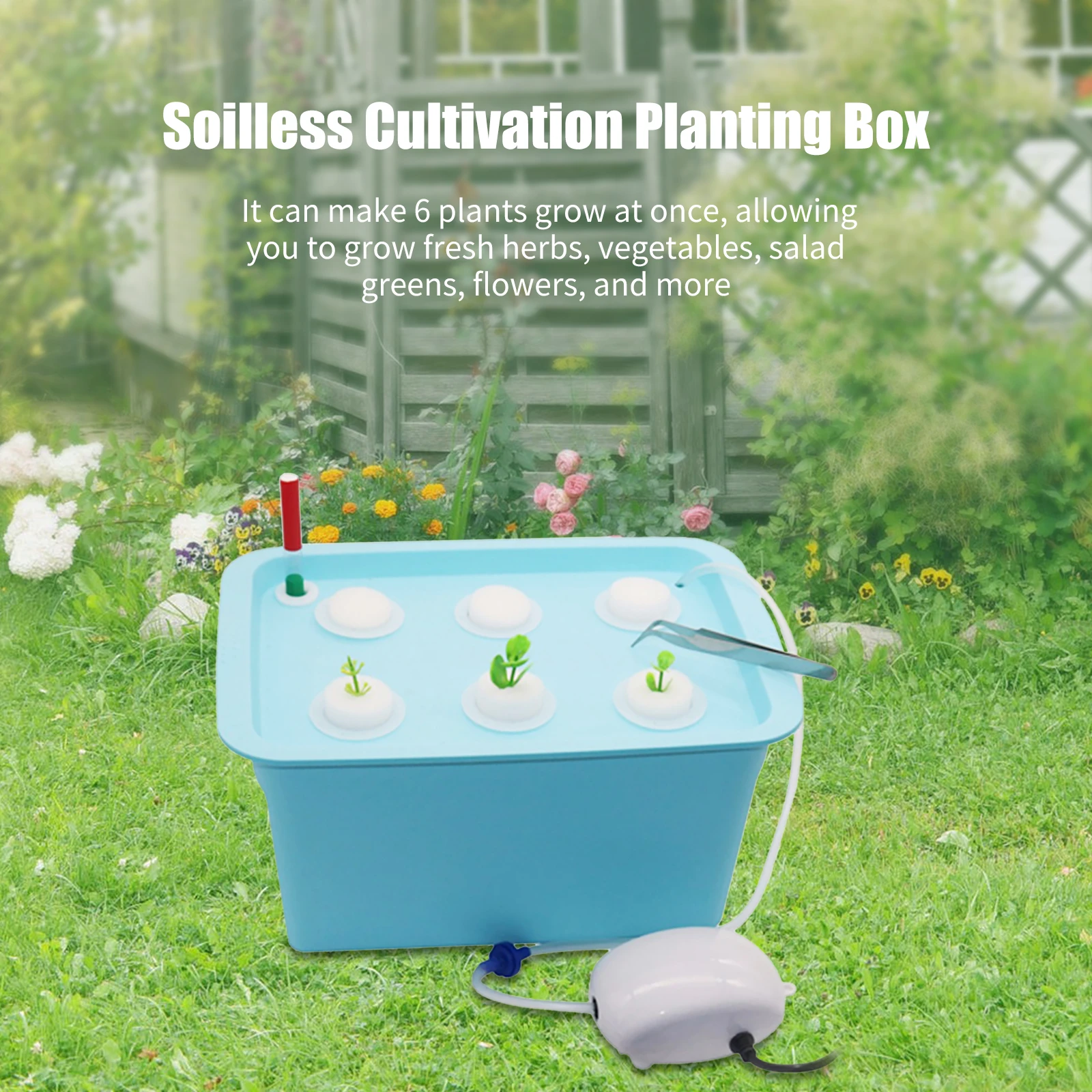 

6 Holes Garden Plant Site Hydroponic Garden Nursery Pots Planters System Indoor Cabinet Box Grow Kit Bubble Nursery Pots 2 Plug