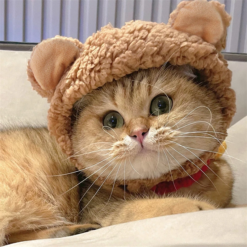 小物 ANDWANG Fluffy cat knit hat Cute Knitted Cat Hat with Elastic - Autumn Winter Pet Puppy