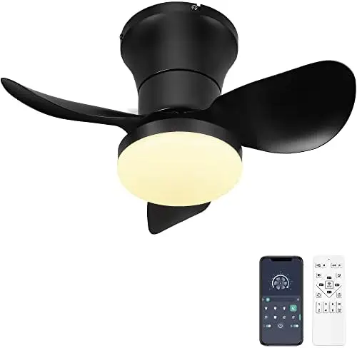 

Lights and Remote - 21'' Small Flush Mount APP Control - Dimmable Quiet DC Lights for Kitchen Bedroom(Black) Lamp led w empotr