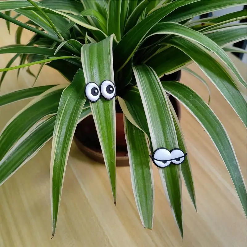 Occhi Magnetici Per Piante: I Tuoi Nuovi Amici Verdi Ti Guardano Con Simpatia! Regalo Divertente Per Gli Amanti Del Giardinaggio