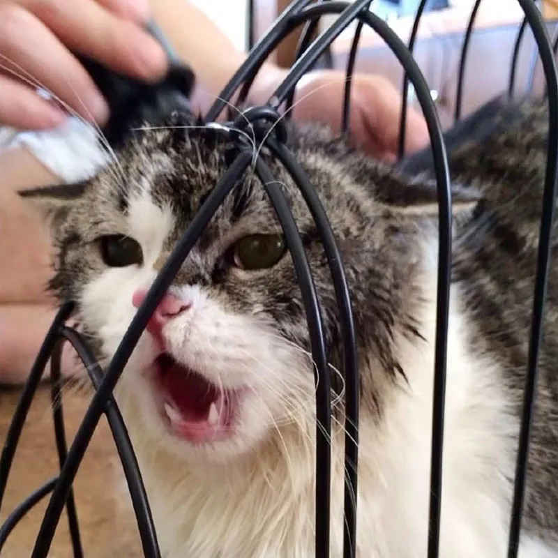 Cat Bath Grooming cage Cats Washing cage For Pet cat Bathing Travelling Sunbath Anti Scratch Bite Restraint