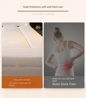 1Pc hôtel Style matelas coussin doux maison chambre Tatami tapis matelas épaissi coussin de couchage simple Double lit matelas Vrzone 4