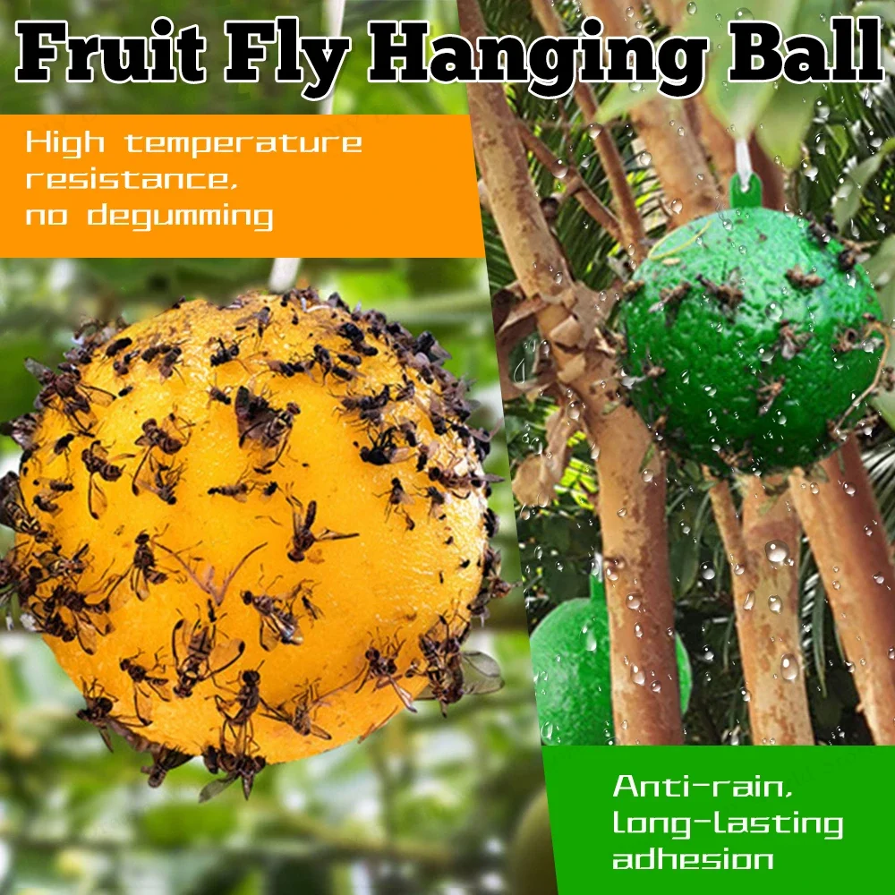 Fruit Fly Trap Glue Ball Sticky