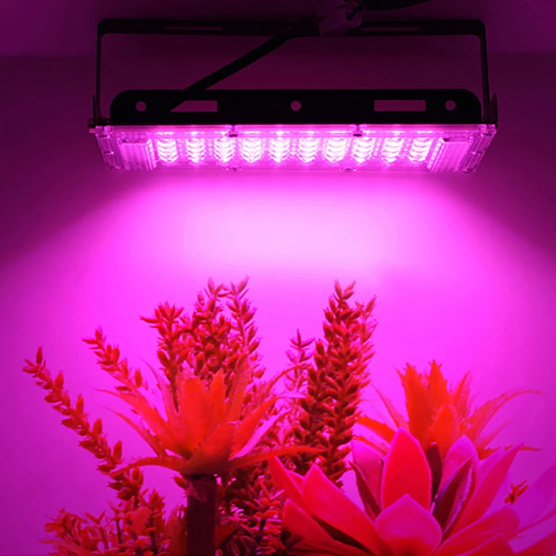 50W Led Grow Light Full Spectrum 220V Phytolamp Full Range Led Lamp Voor Planten Groei Bloem Bol Binnentuin