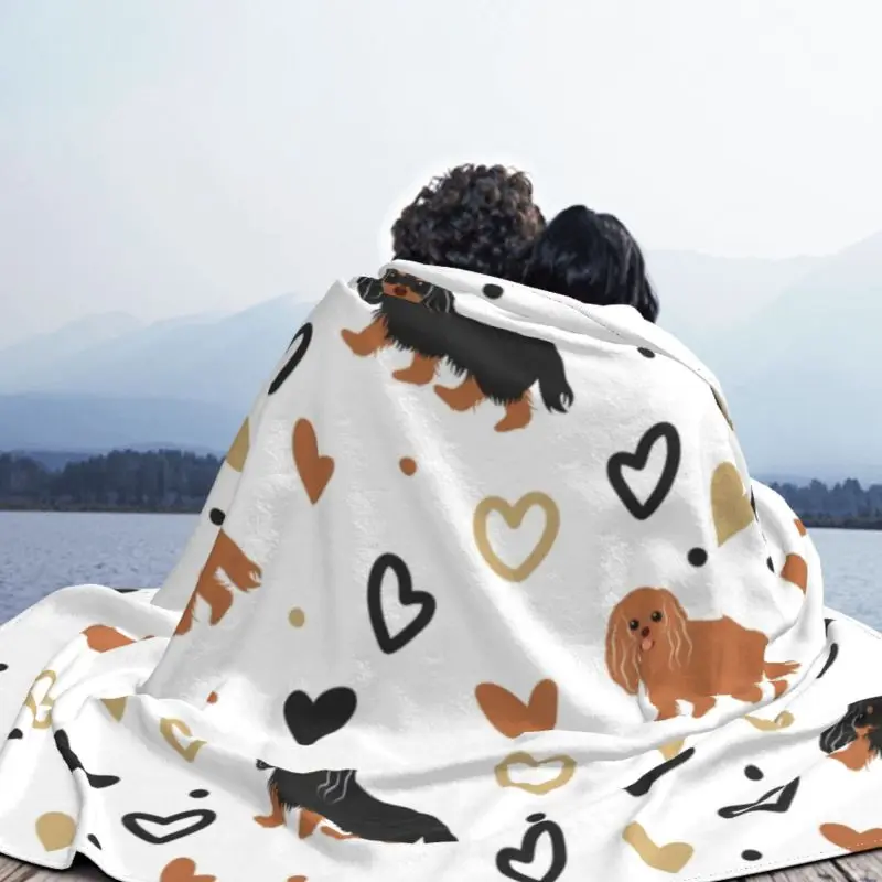 ���� ī�߸��� ŷ ���� ���дϾ� ��Ʈ�� ����Ʈ �ø��� ���, ������ �ö��� �� ��� ħ�� ���� ���� ħ�뺸