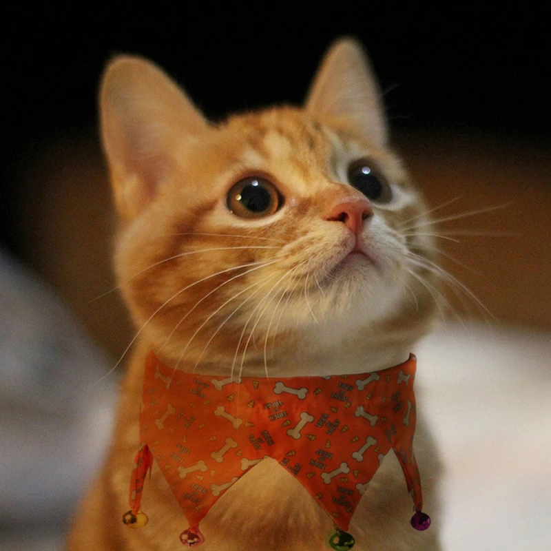 

Halloween Pet Collar Neck Ring Adjustable Halloween Themed Pet Collar With Bell Cat Necklace Pet Scarf Party Costume Accessories