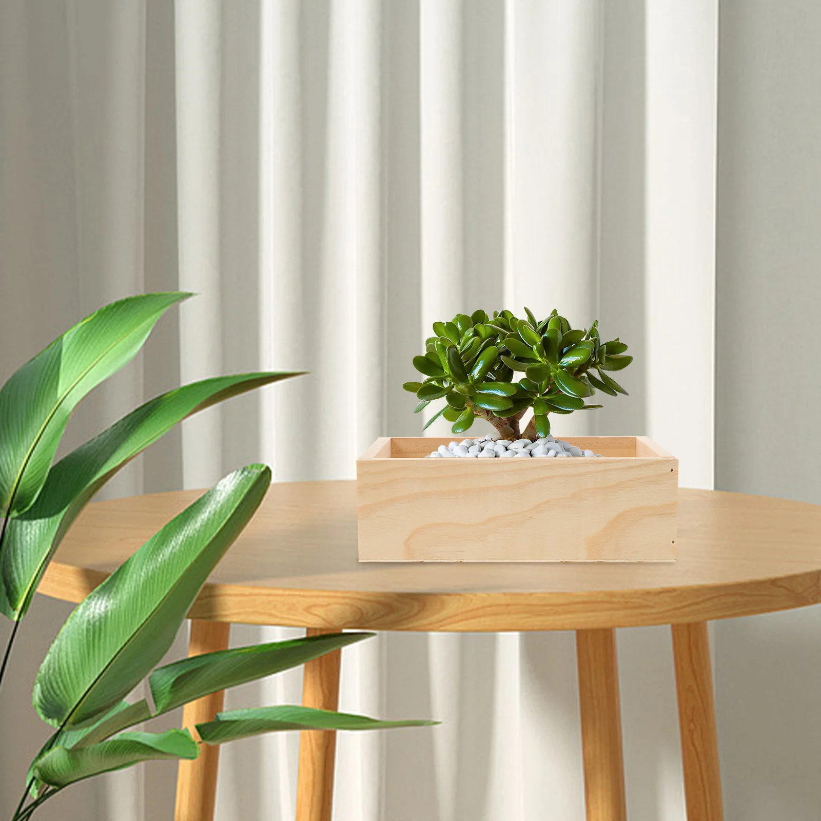 

Rectangular Wooden Planter Succulent Pot Flowerpot Multifunction Desktop Storage Box for Cactus Bonsai