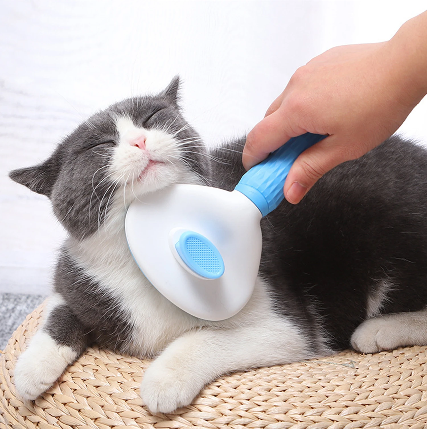 Title 2, Pet Cat Brush Stainless Steel Needle Comb Dog A...