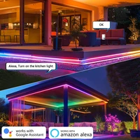 Wiscolor WIFI RGBIC LED Neon Strip Lights Waterproof Voice Control Work With TUYA Smart Life For DIY Room Home Decoration - Image 4
