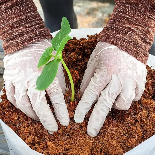 Coco Coir Tégla Sűrített Kókuszdió -Tégla Virág Lapáttal, Nagy Tágulási Kókuszvirágok, Alacsony Ec És Ph -Egyensúly - Image 2