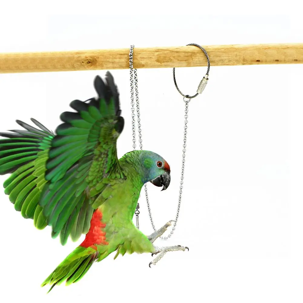 Parrot Foot Chain Ankle Rings For Flying Training Stainless Steel 4 Sizes bird foot rings bird leg rings bird rings