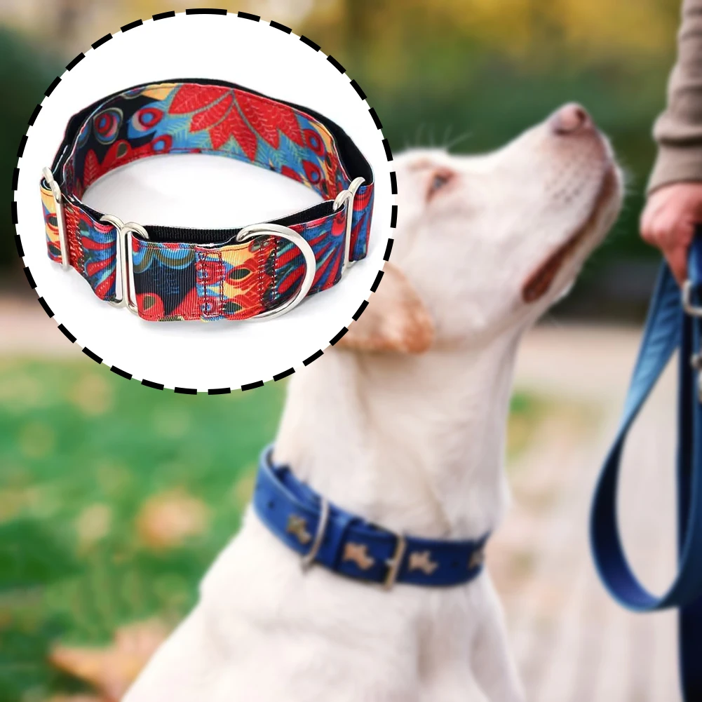 Hand-made Personalized Fabric Super Strong Reefs Dog Collar Adjustables Martingale Collar Tear Resistant for Small Large Dog