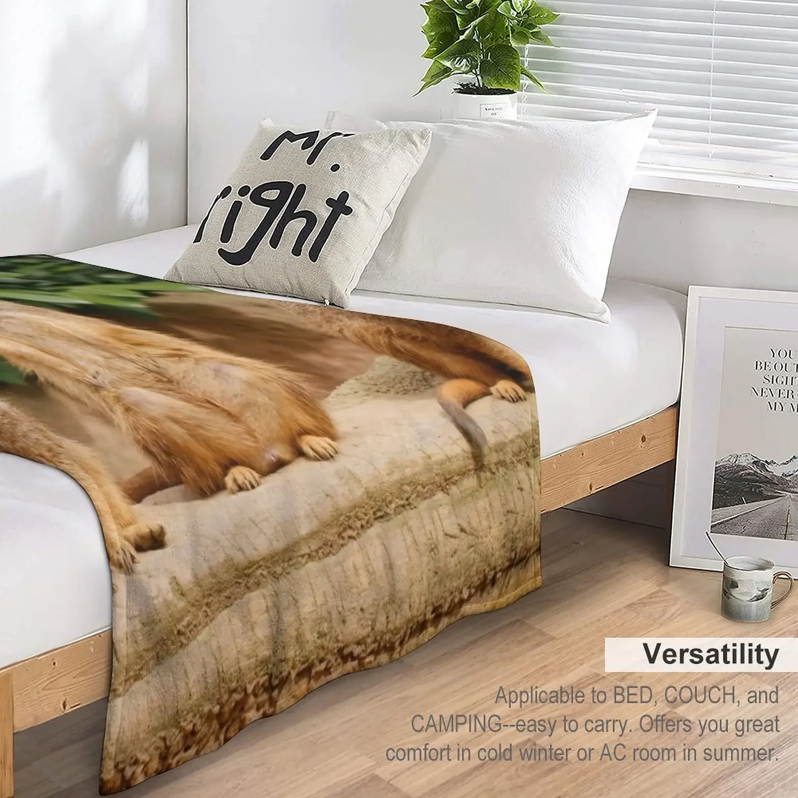 Meerkat 008 ������ ���, �м� ����, ���ſ� ���� �� ���