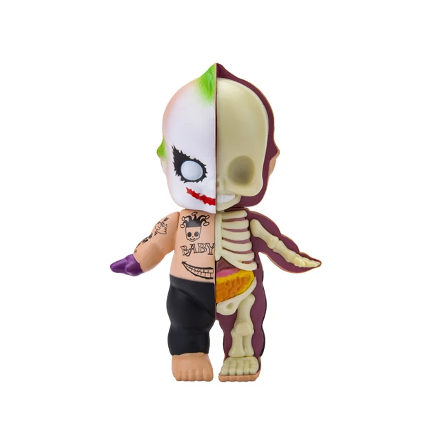 10CM 4D Half Baby Cupid Clown Anatomy Model Skeleton Anatomical 