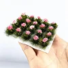 DIY handmade materials miniature model cluster flower cluster ground rosa vegetation military model sand table Can be customized 3