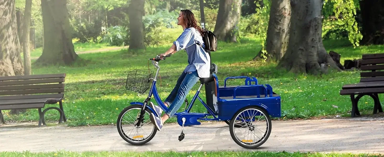 adult tricycles for men
