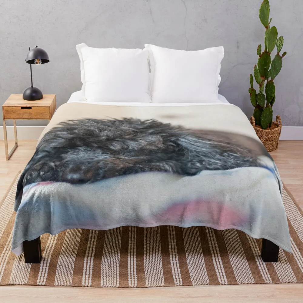 

Sleepy Princess Throw Blanket Hairy Blankets Decorative Throw Blanket