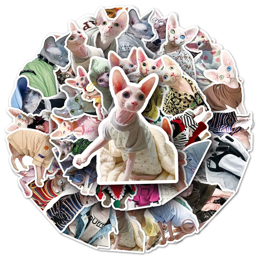 10/30/50PCS Cute Animal Sphynx Cat Stickers for Laptop Car Phone Case Waterproof Kawaii Funny Cartoon DIY Sticker Decal Kids Toy